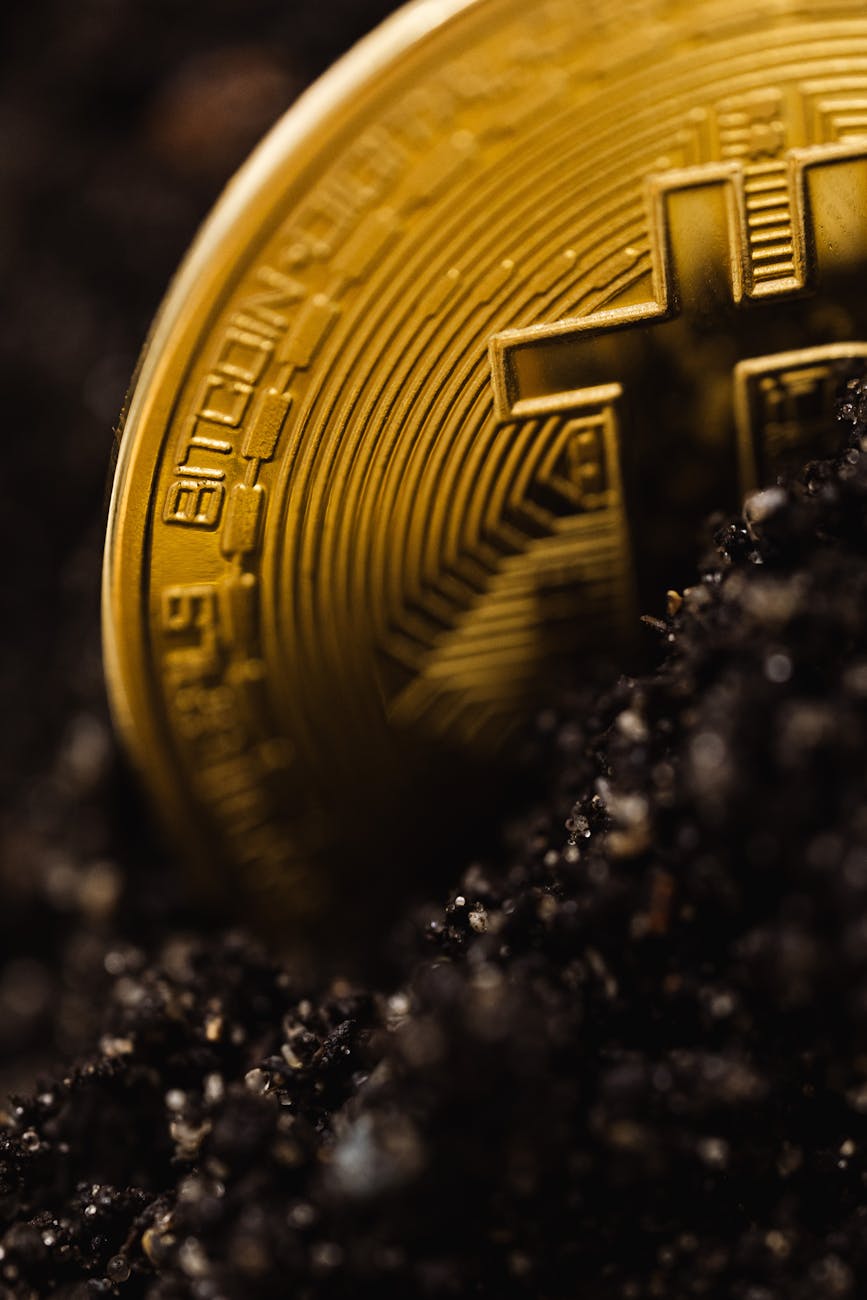 Detailed close-up of a gold Bitcoin partially buried in dark soil, symbolizing digital wealth.